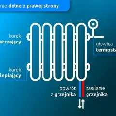 Schemat podłączenia grzejnika od dołu z prawej strony. Widoczny korek odpowietrzający, zaślepiający, głowica termostatyczna, zasilanie i powrót.