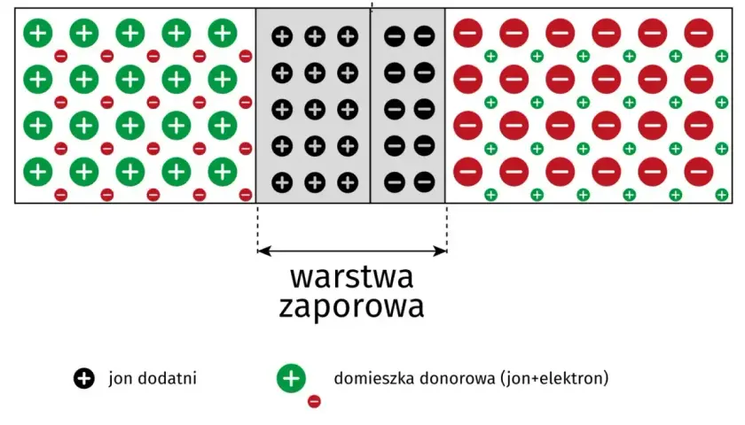 Schemat budowy diody prostowniczej: półprzewodnik typu N z dodatnimi jonami i domieszką donorową, półprzewodnik typu P z ujemnymi jonami i domieszką akceptorową, oraz warstwa zaporowa.
