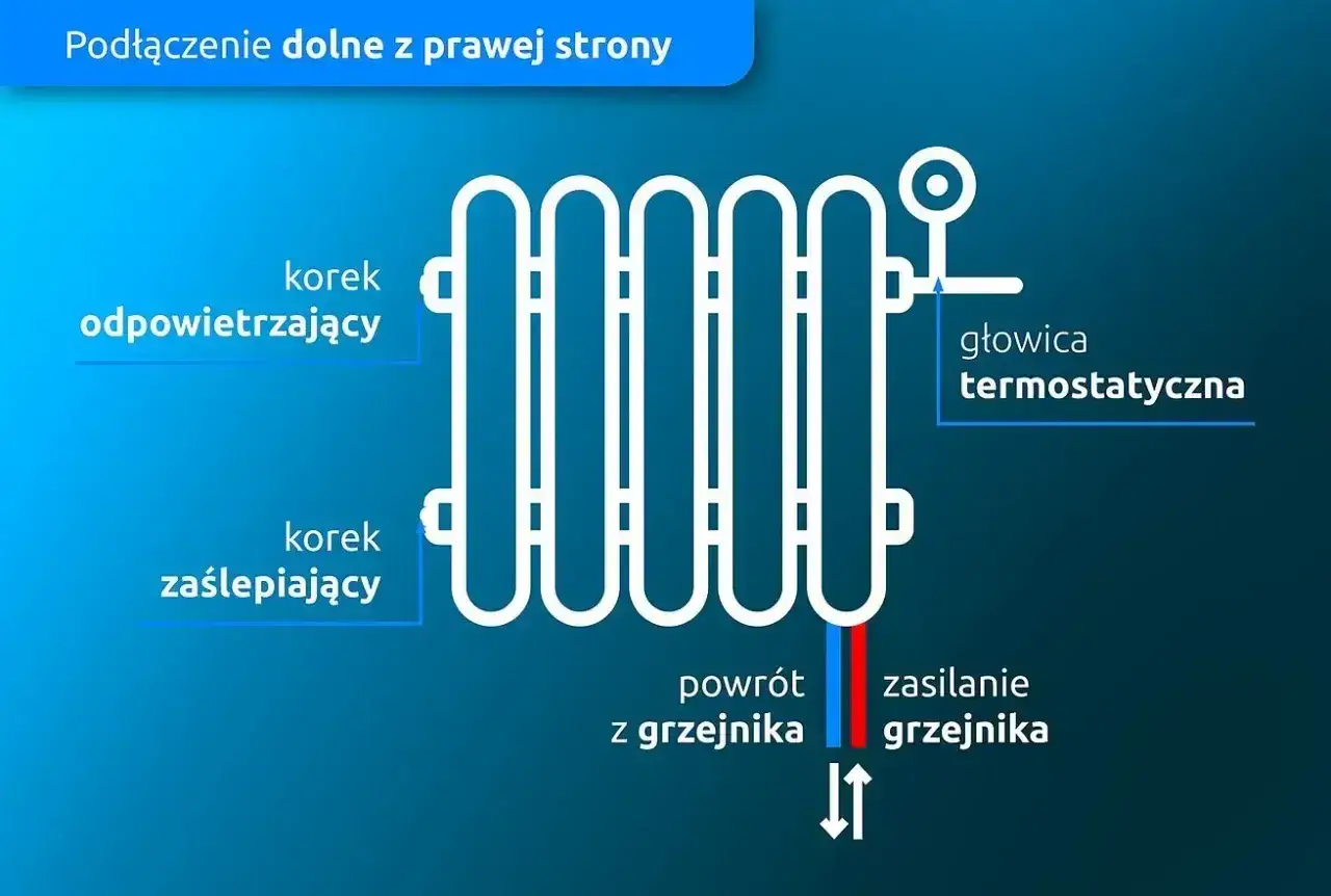 Schemat podłączenia grzejnika od dołu z prawej strony. Widoczny korek odpowietrzający, zaślepiający, głowica termostatyczna, zasilanie i powrót.