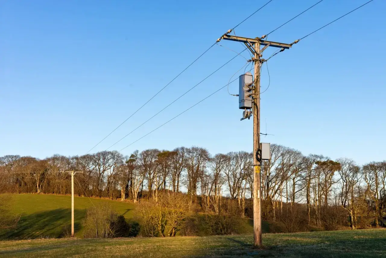 Słupy energetyczne na działce. Zastanawiasz się, ile wynosi odszkodowanie za słupy energetyczne na działce? Tło stanowi błękitne niebo i drzewa.